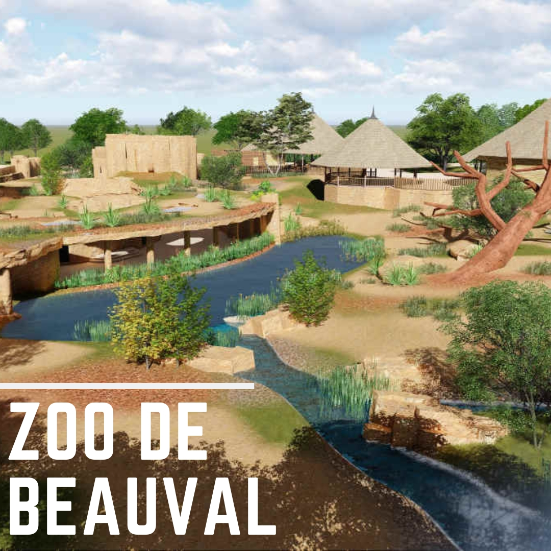 Lien vers Zoo de Beauval