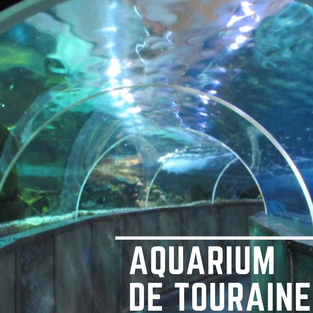Lien vers Aquarium de Touraine